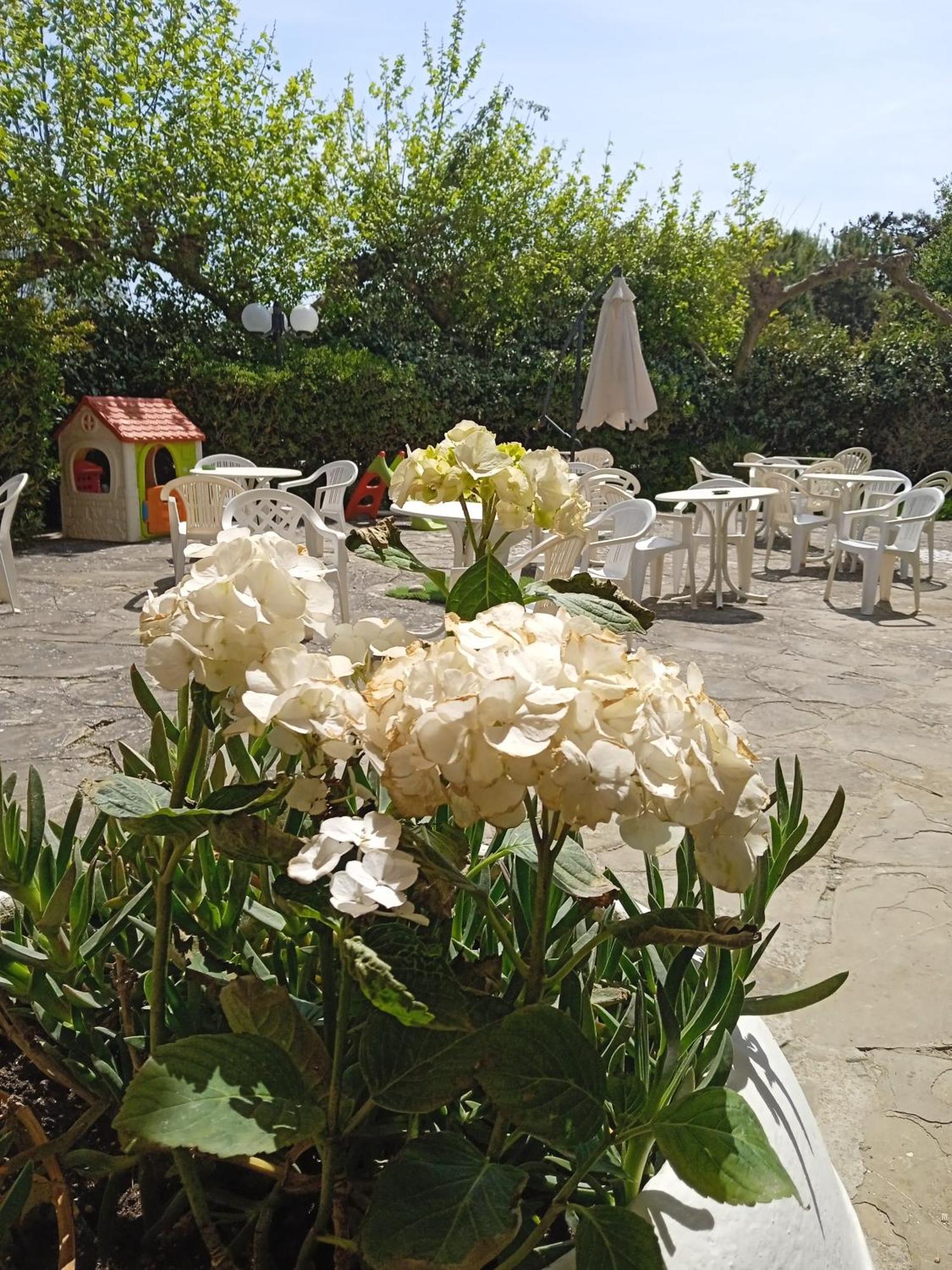 Hotel Buenos Aires Cervia Exterior photo